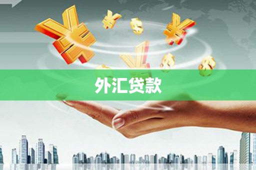 观音外汇贷款