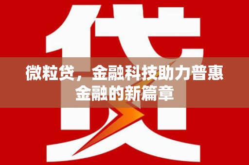 广水微粒贷，金融科技助力普惠金融的新篇章
