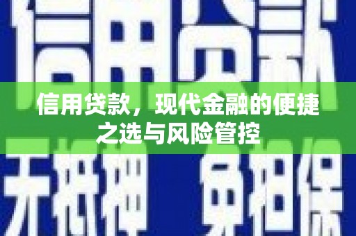 上城信用贷款，现代金融的便捷之选与风险管控