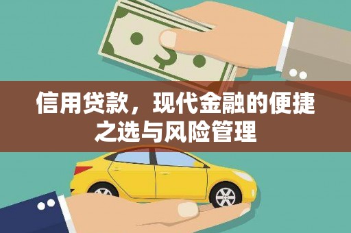 沈河信用贷款，现代金融的便捷之选与风险管理