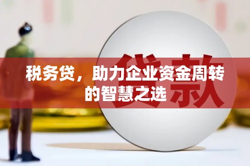 冷水江税务贷，助力企业资金周转的智慧之选