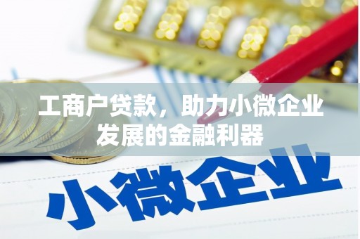 阆中工商户贷款，助力小微企业发展的金融利器