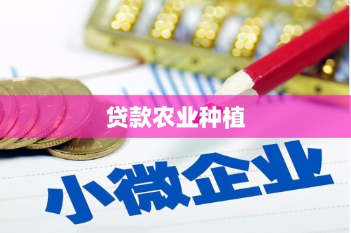 安定贷款农业种植