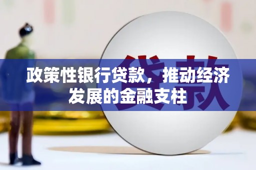 滦南政策性银行贷款，推动经济发展的金融支柱