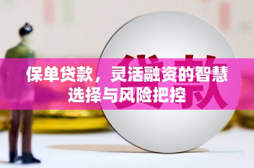 呼伦贝尔保单贷款，灵活融资的智慧选择与风险把控