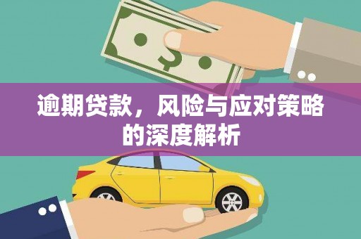 元谋逾期贷款，风险与应对策略的深度解析