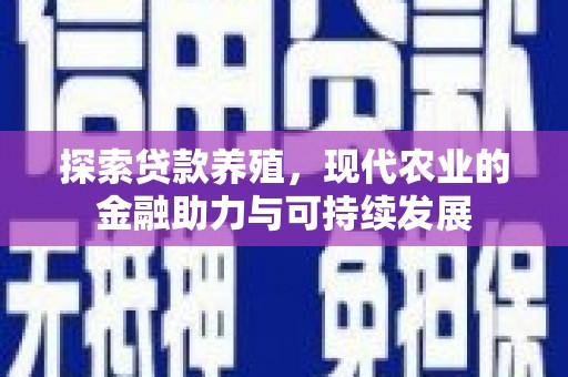 东乡族探索贷款养殖，现代农业的金融助力与可持续发展