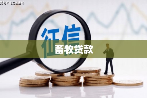 沙坪坝畜牧贷款