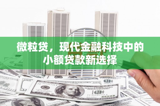 蒙阴微粒贷，现代金融科技中的小额贷款新选择