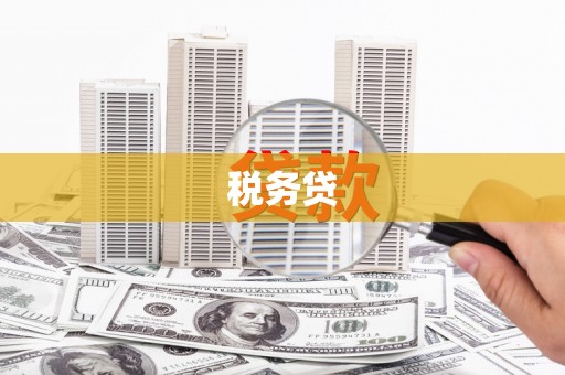 延平税务贷