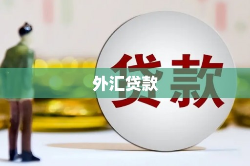 石冈外汇贷款