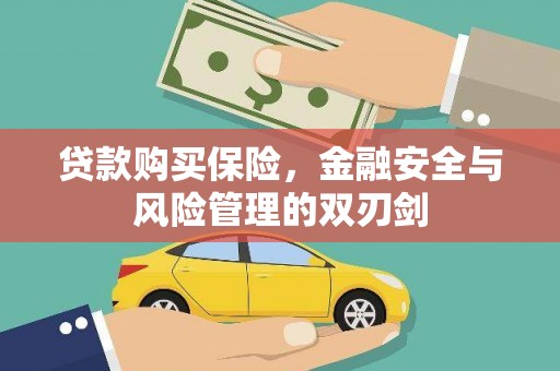 吴桥贷款购买保险，金融安全与风险管理的双刃剑