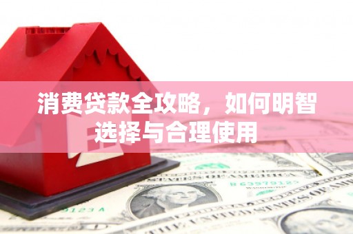 丹巴消费贷款全攻略，如何明智选择与合理使用