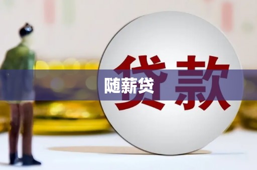 雅江随薪贷