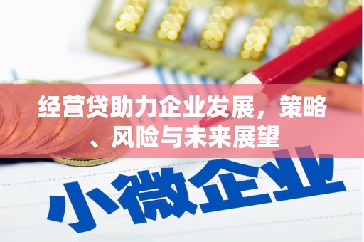 邯山经营贷助力企业发展，策略、风险与未来展望