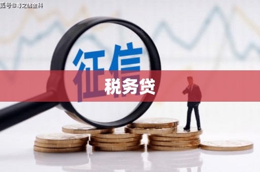 陆川税务贷
