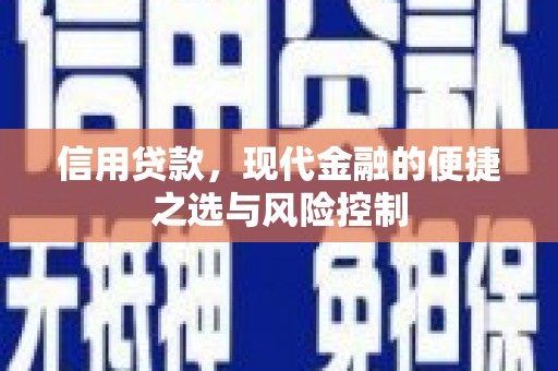 东方信用贷款，现代金融的便捷之选与风险控制