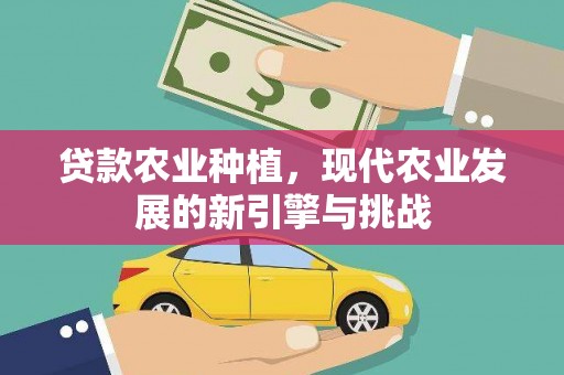 恒山贷款农业种植，现代农业发展的新引擎与挑战