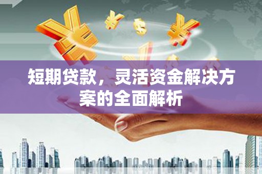 桑日短期贷款，灵活资金解决方案的全面解析