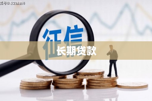界首长期贷款