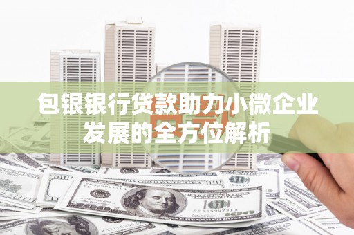 宁武包银银行贷款助力小微企业发展的全方位解析