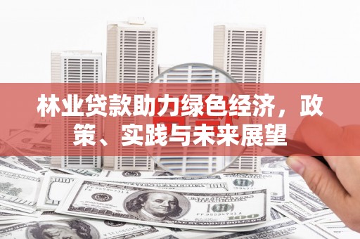 安化林业贷款助力绿色经济，政策、实践与未来展望