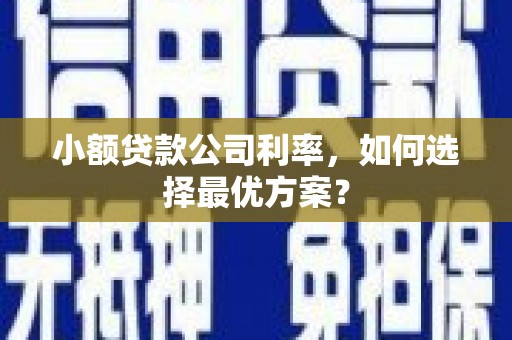 南郊小额贷款公司利率，如何选择最优方案？