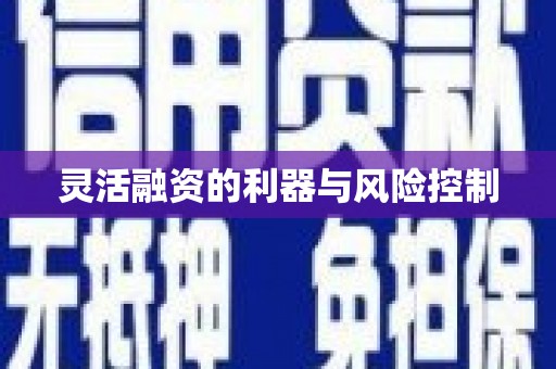 宜州灵活融资的利器与风险控制