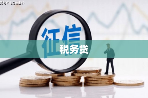 城东税务贷
