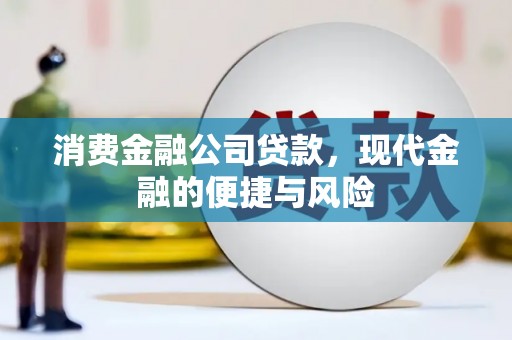 乳源消费金融公司贷款，现代金融的便捷与风险