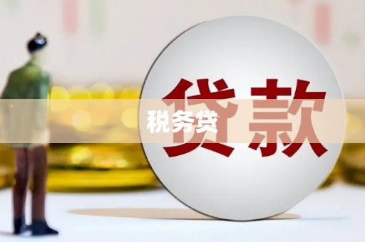 阳西税务贷