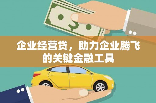 双湖企业经营贷，助力企业腾飞的关键金融工具