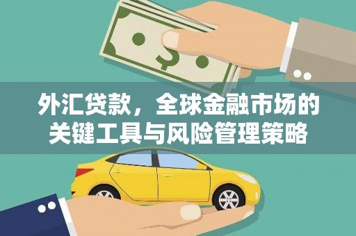 沙湾外汇贷款，全球金融市场的关键工具与风险管理策略