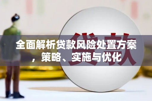 蒙山全面解析贷款风险处置方案，策略、实施与优化
