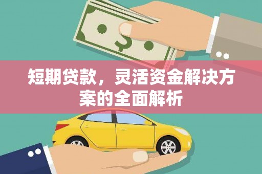 望城短期贷款，灵活资金解决方案的全面解析