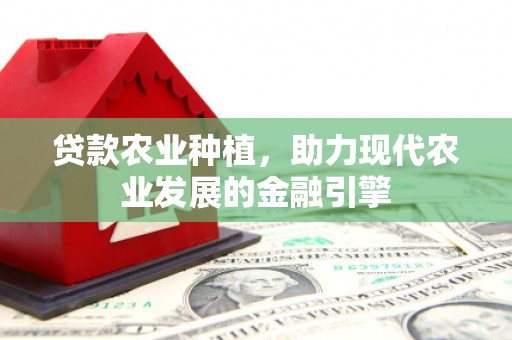 水磨沟贷款农业种植，助力现代农业发展的金融引擎