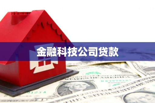 曹妃甸金融科技公司贷款