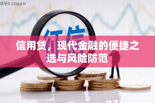 平川信用贷，现代金融的便捷之选与风险防范