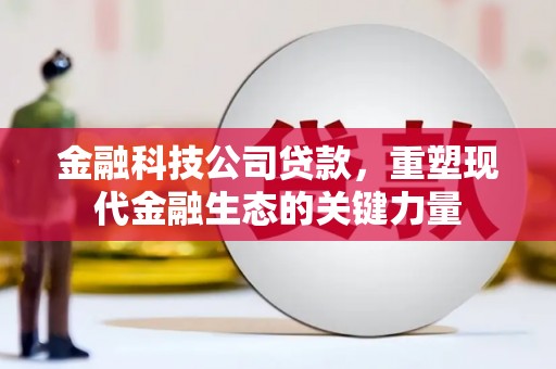 藁城金融科技公司贷款，重塑现代金融生态的关键力量