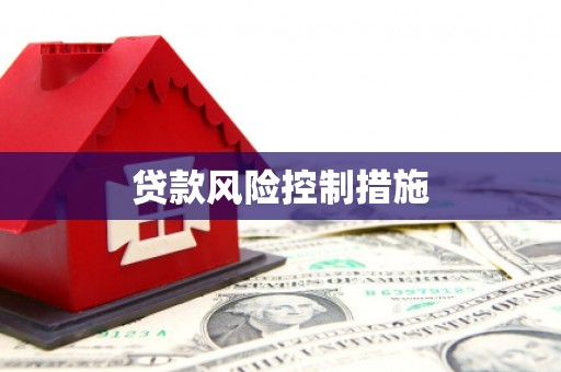 顺城贷款风险控制措施