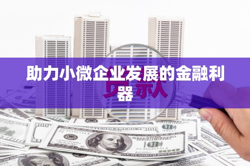 台东助力小微企业发展的金融利器