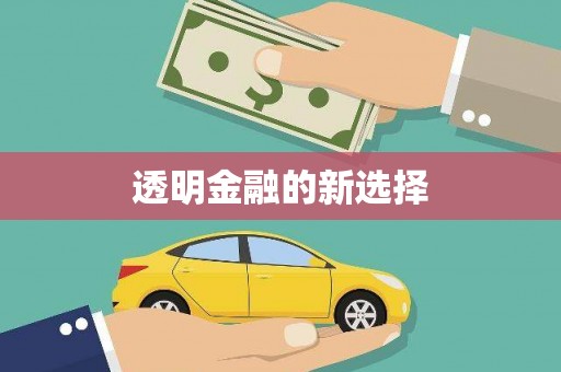 陆良透明金融的新选择