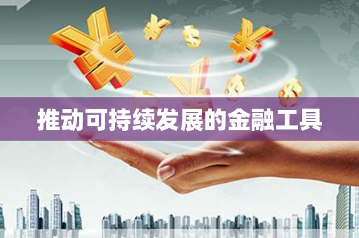 东至推动可持续发展的金融工具