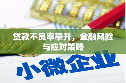 揭东贷款不良率攀升，金融风险与应对策略